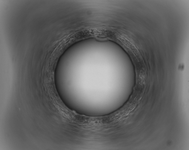 X0000096160865200801181222