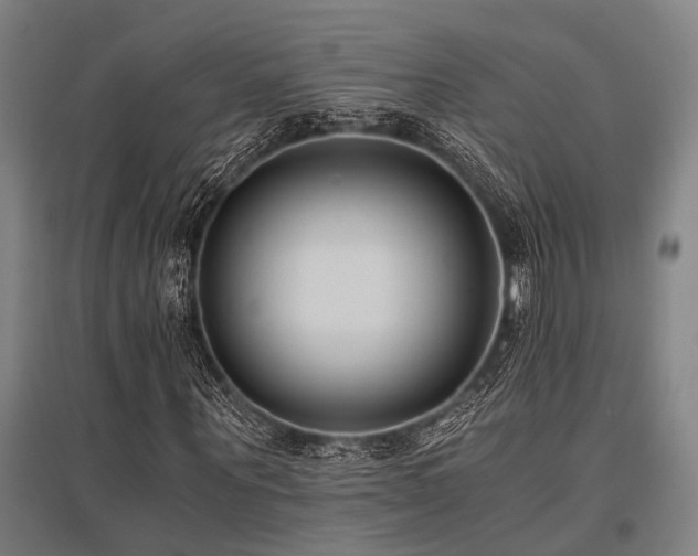 X0000096160867200801181222