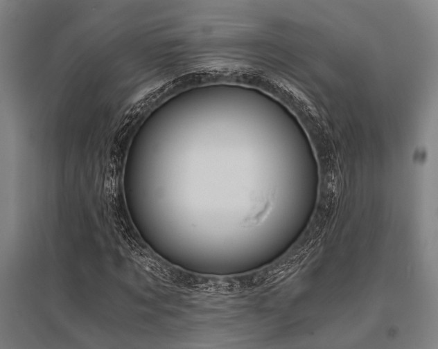 X0000096160869200801181222