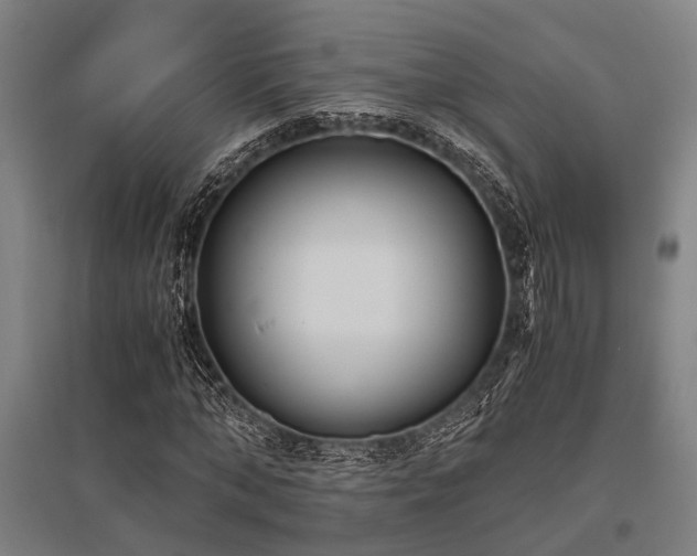 X0000096160870200801181222