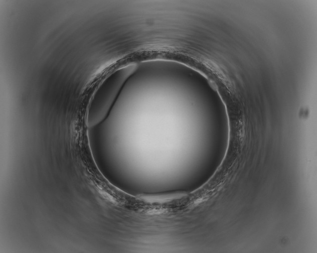 X0000096160872200801181222