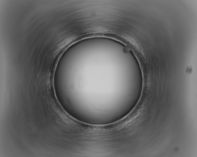 X0000096160873200801181222