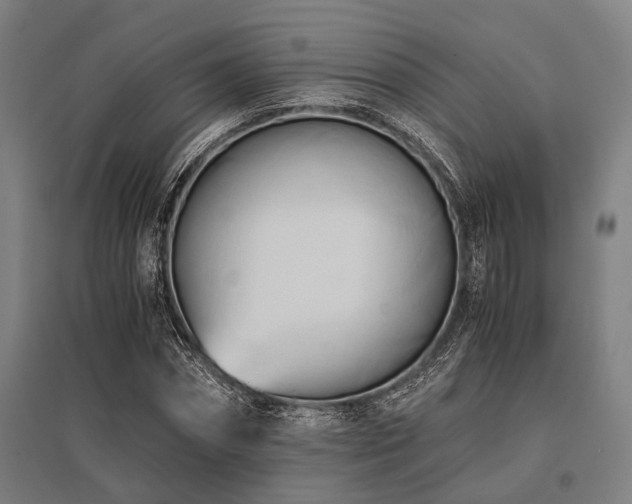 X0000096160874200801181222