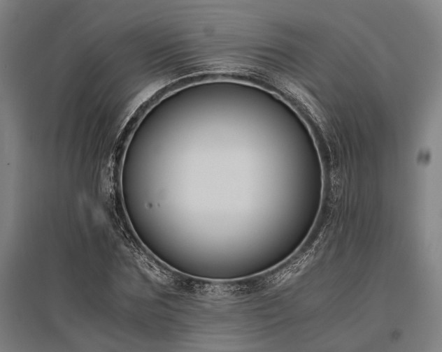 X0000096160875200801181222