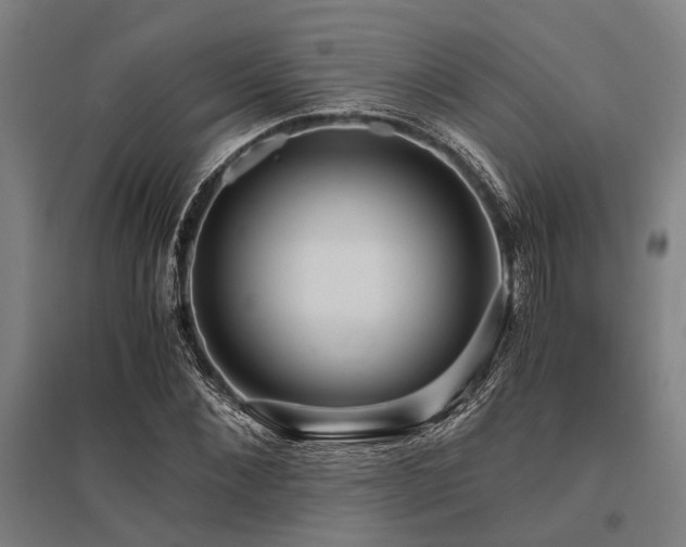 X0000096160876200801181222