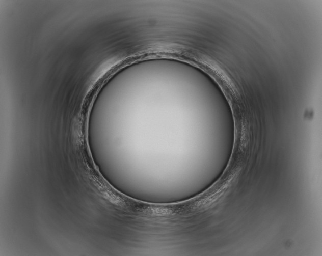 X0000096160878200801181222