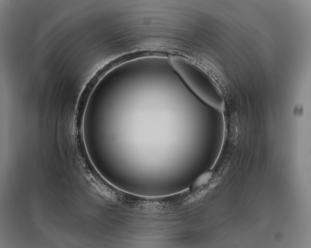 X0000096160880200801181222