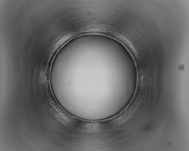 X0000096160882200801181222