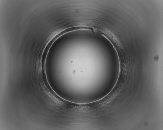 X0000096160884200801181222