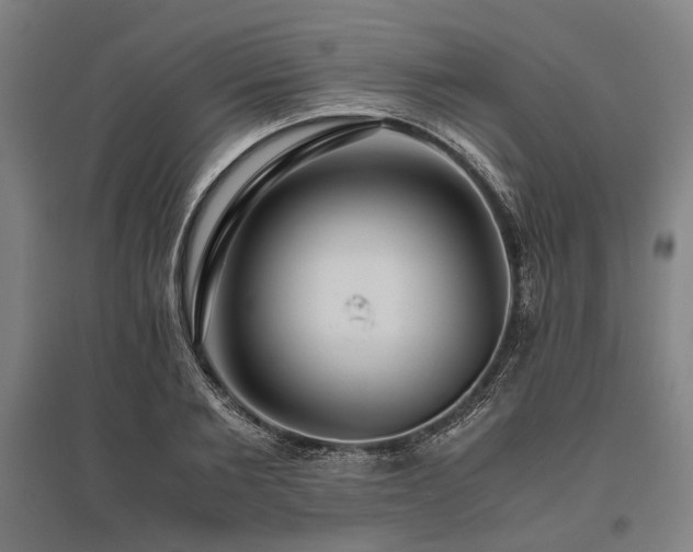 X0000096160885200801181222