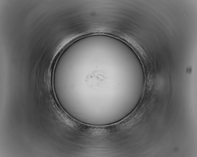 X0000096160886200801181222