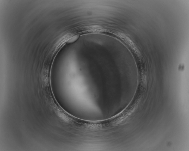 X0000096160889200801181222