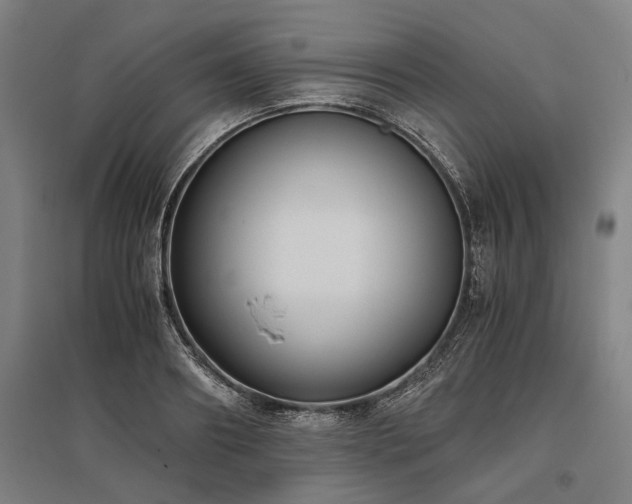 X0000096160890200801181222