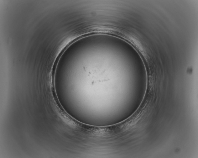 X0000096160891200801181222