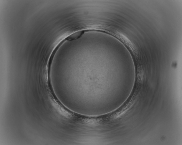 X0000096160892200801181222