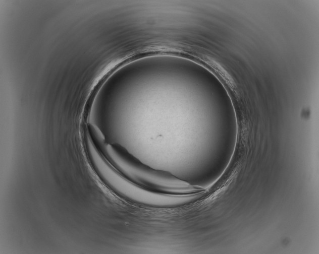X0000096160893200801181222