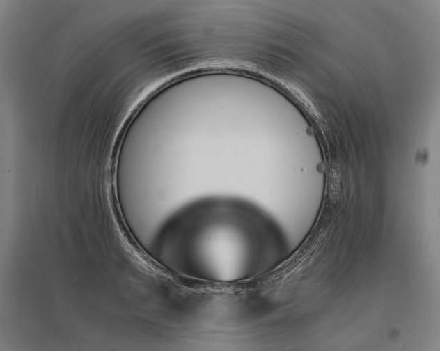 X0000096160895200801181222