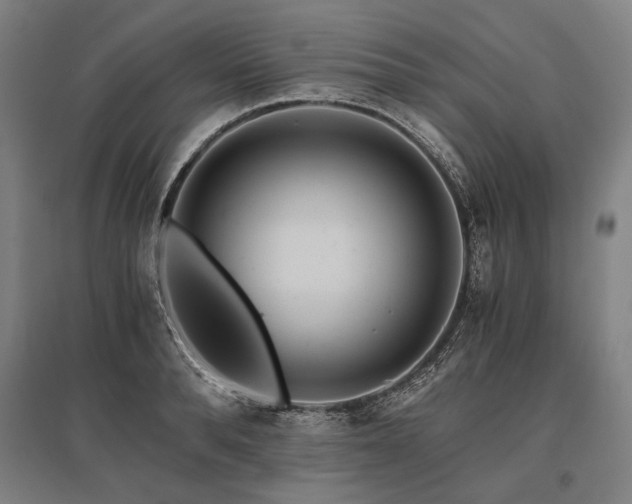 X0000096160896200801181222