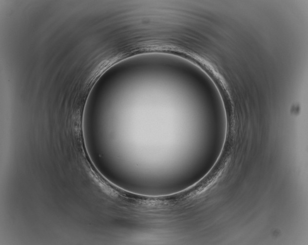 X0000096160897200801181222