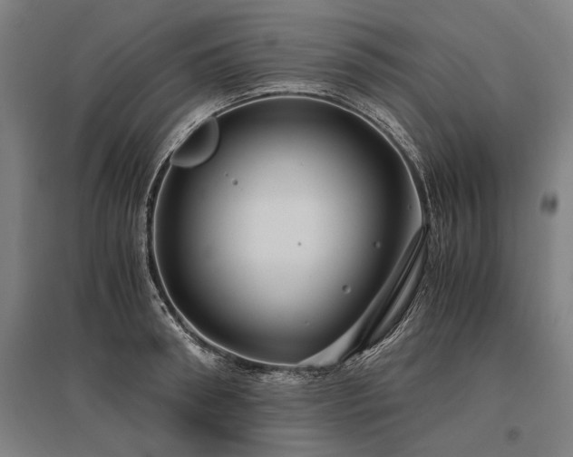 X0000096160898200801181222