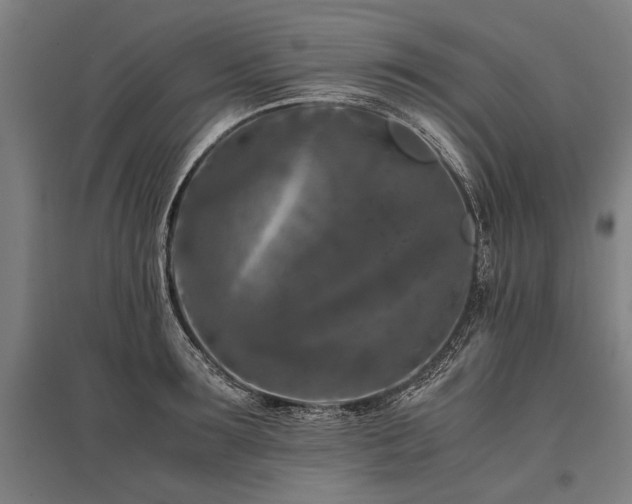 X0000096160899200801181222