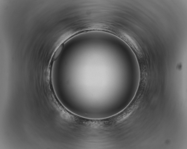 X0000096160900200801181222