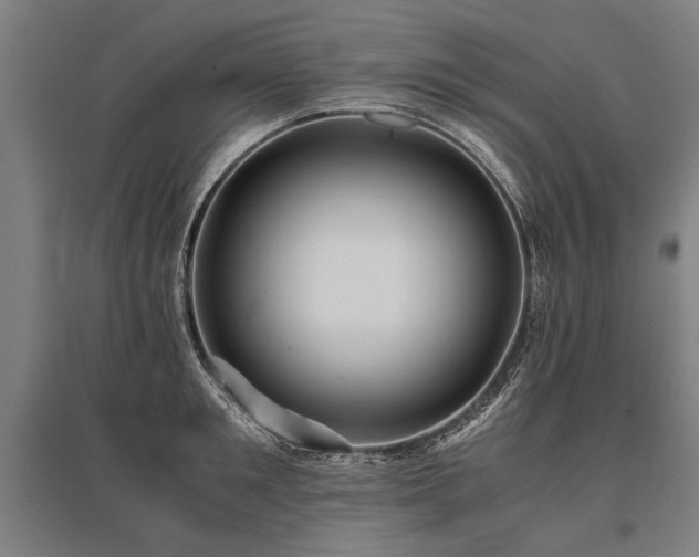 X0000096160901200801181222