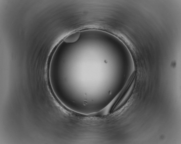 X0000096160902200801181222