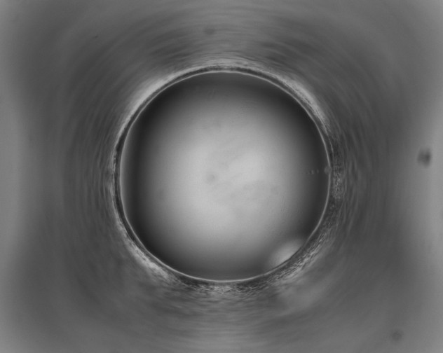 X0000096160903200801181222