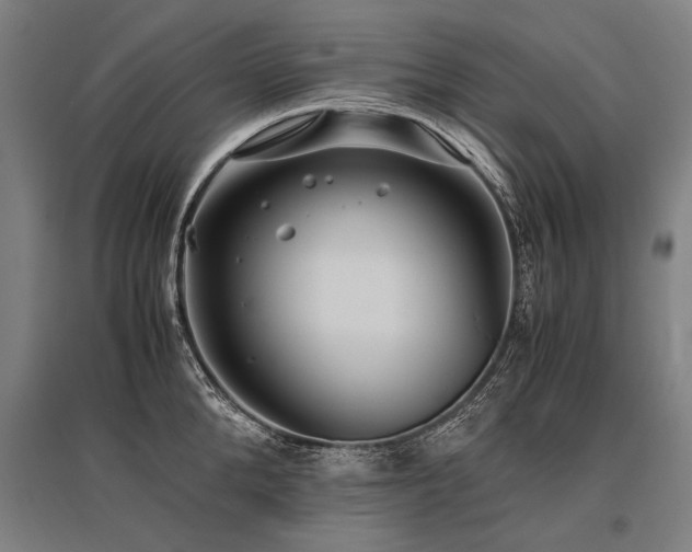 X0000096160904200801181222