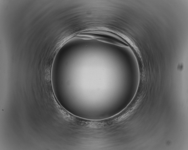 X0000096160905200801181222