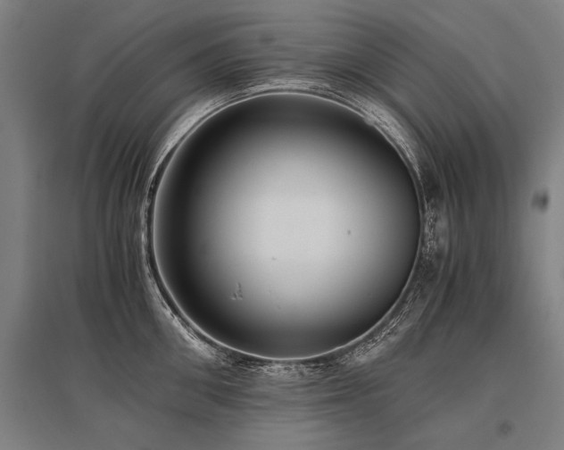 X0000096160906200801181222