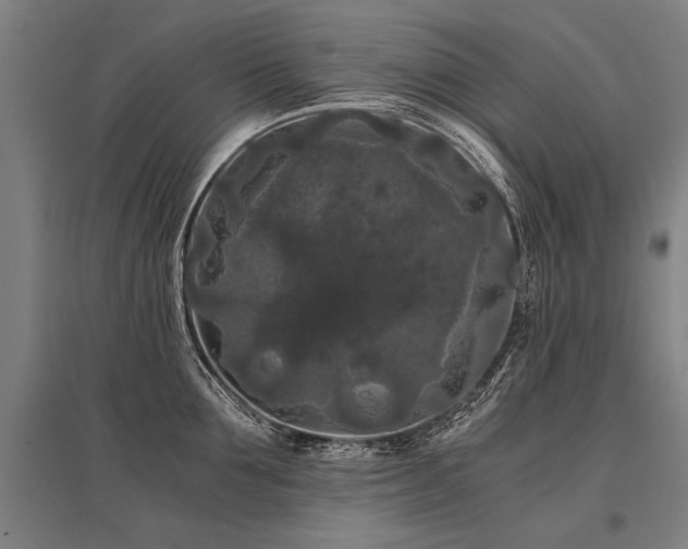 X0000096160907200801181222