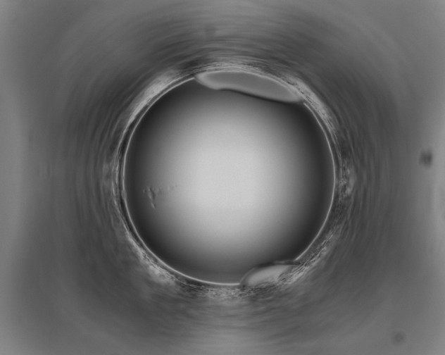 X0000096160909200801181222