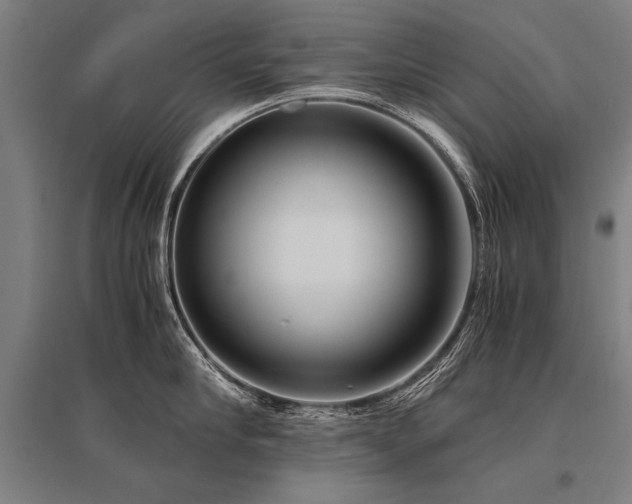 X0000096160910200801181222