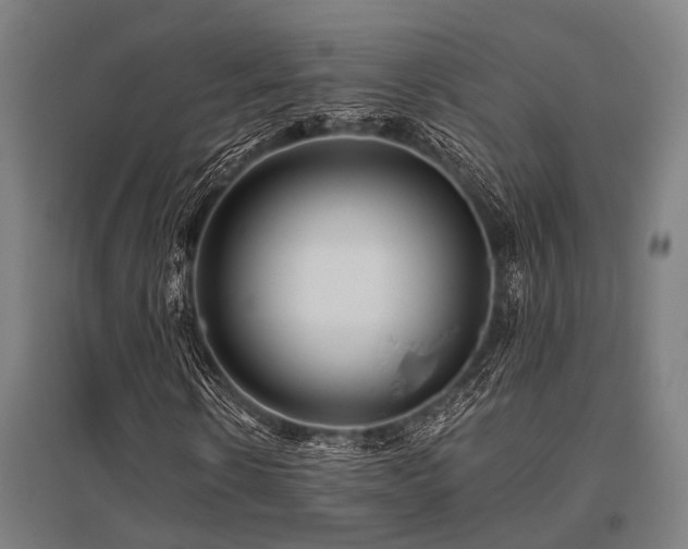 X0000096160914200801181221