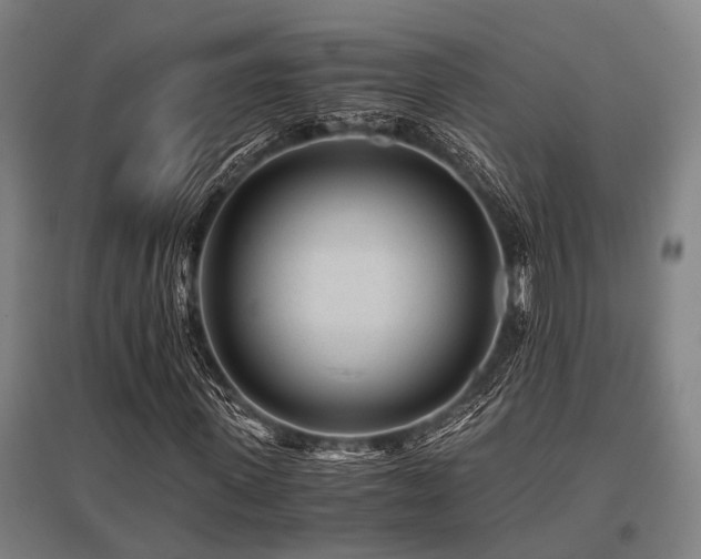 X0000096160915200801181221
