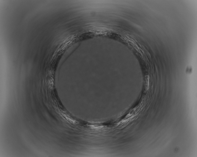 X0000096160916200801181221