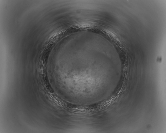 X0000096160917200801181221