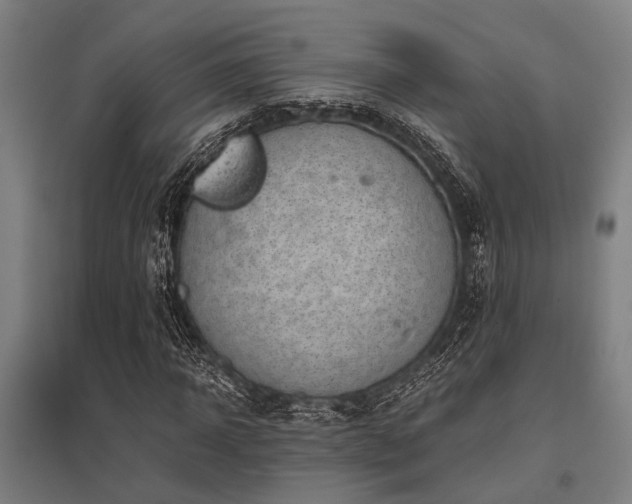 X0000096160918200801181221