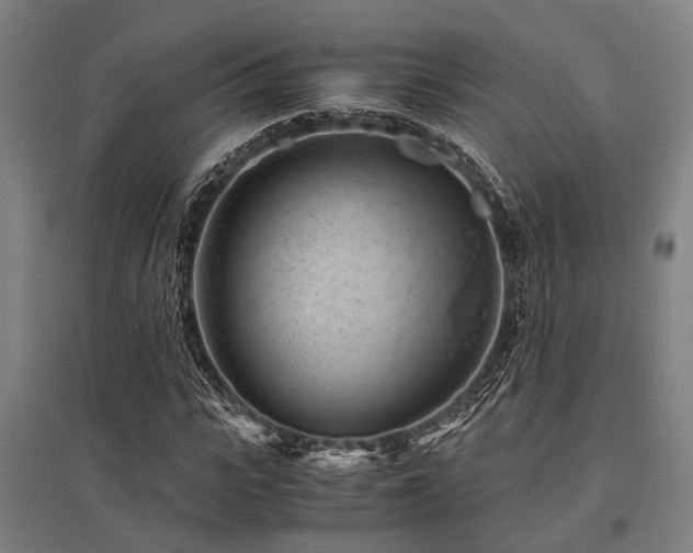 X0000096160919200801181221