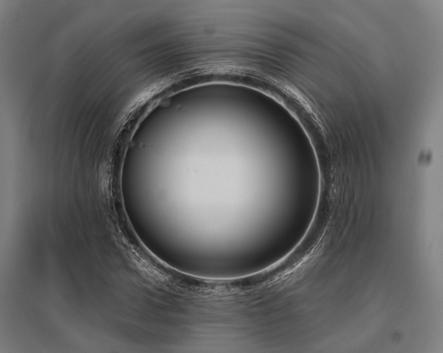 X0000096160922200801181221