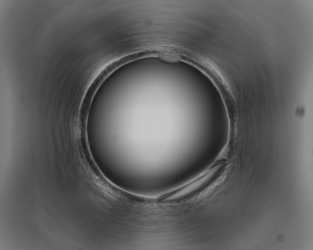X0000096160924200801181221