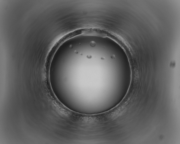 X0000096160927200801181221