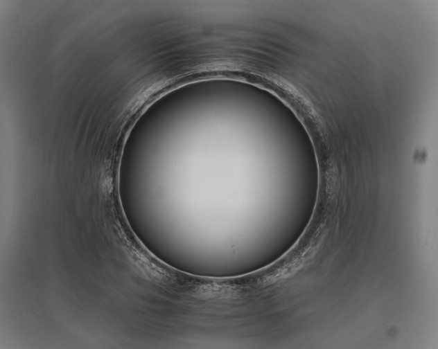 X0000096160929200801181221