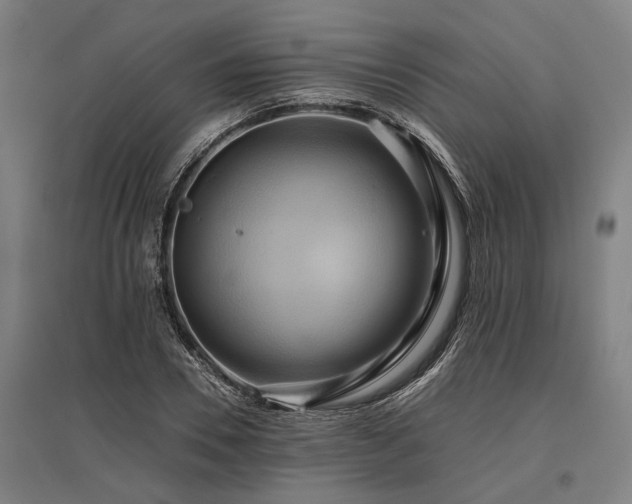 X0000096160930200801181221