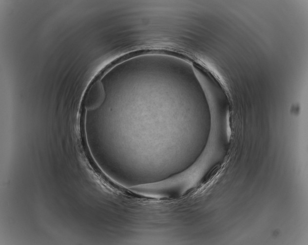X0000096160932200801181221