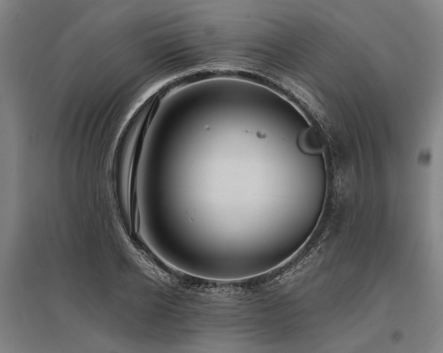 X0000096160934200801181221