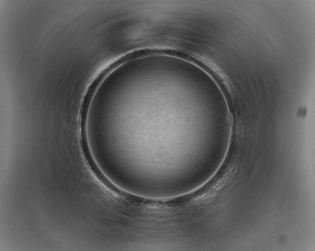 X0000096160935200801181221