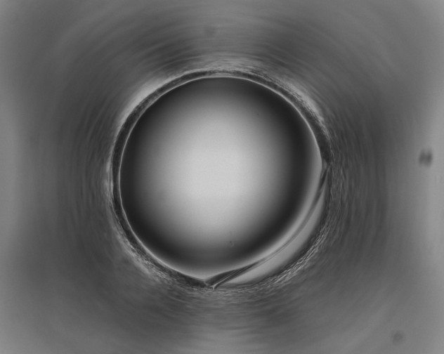 X0000096160936200801181221